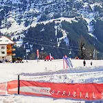 Bienli Mitte By Interhome Grindelwald