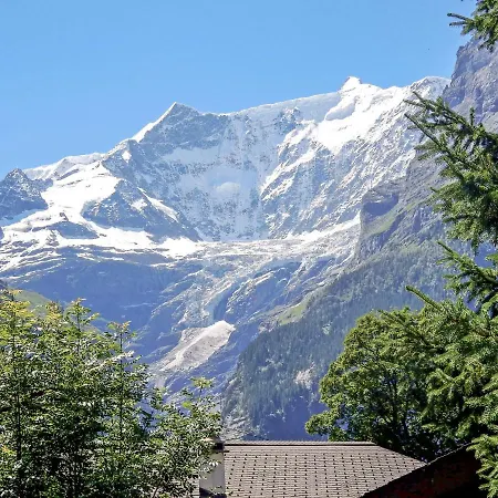 Bienli Mitte By Interhome * Grindelwald