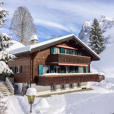 Apartment Bienli By Interhome