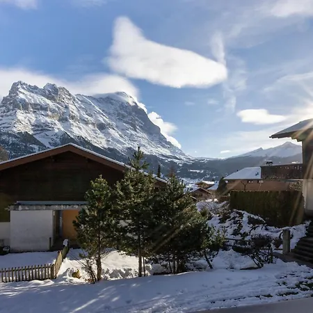 Bienli Mitte By Interhome Appartamento Grindelwald