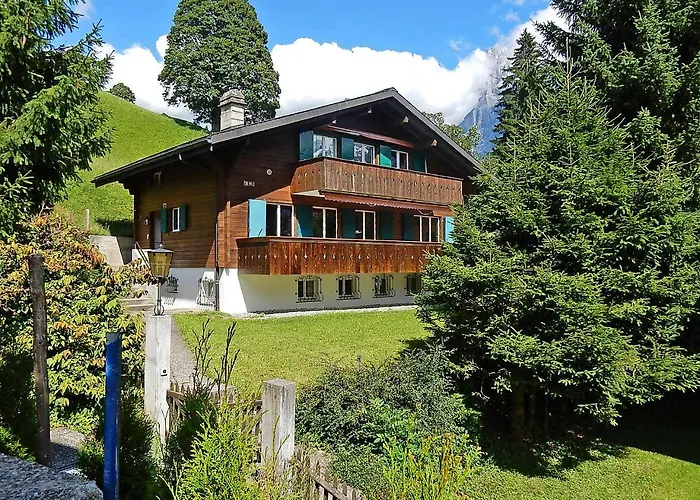 Bienli Mitte By Interhome Lejlighed Grindelwald