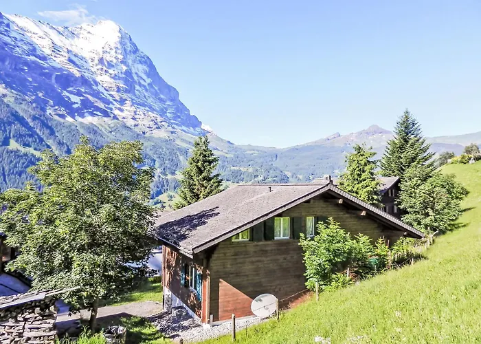 Bienli Mitte By Interhome